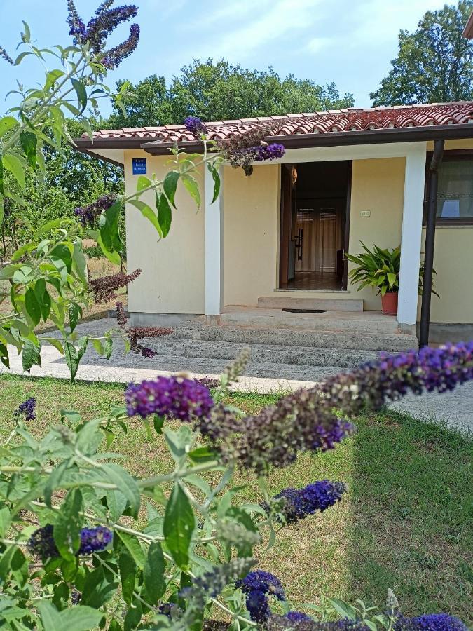 Apartment studio TA-TI Umag Exterior foto